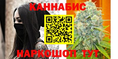 шишки Дубна