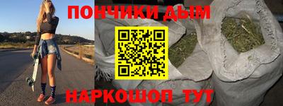 шишки Дубна