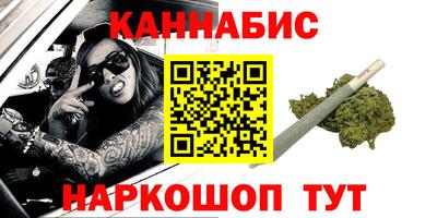 шишки Дубна