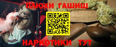шишки Дубна
