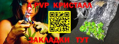 стафф Донской