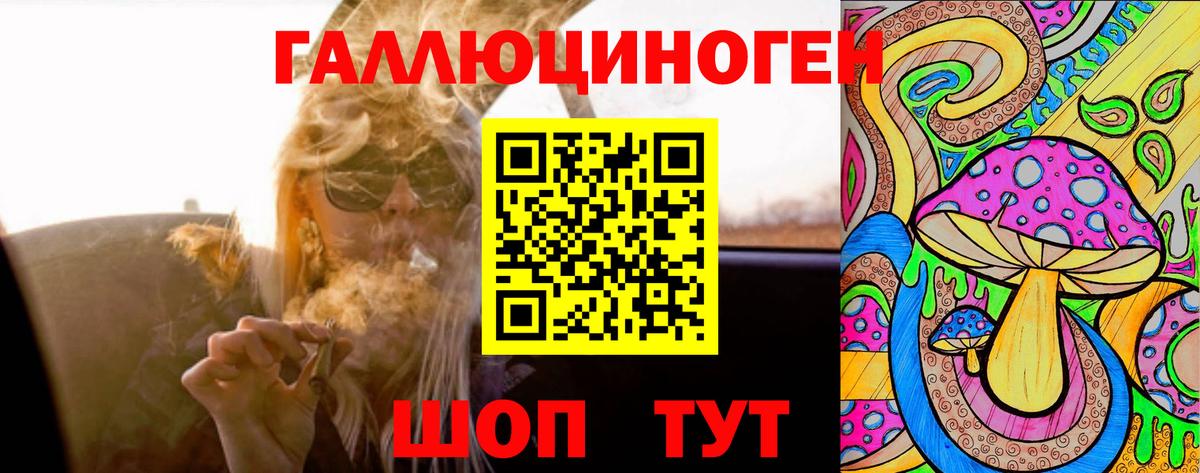 Галлюциногенные грибы Cubensis Новокубанск